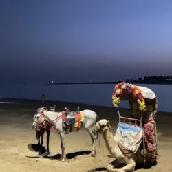 Al Shuaibah Beach - Rabigh