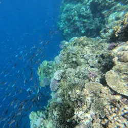 Rabigh Beach - Rabigh