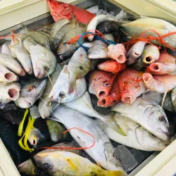 Rabigh Fish Market - Rabigh