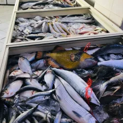 Rabigh Fish Market - Rabigh