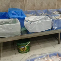 Rabigh Fish Market - Rabigh