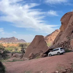 Local Desert Wildlife Observation - Rafḩā
