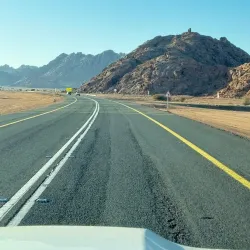Local Desert Wildlife Observation - Rafḩā