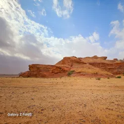Local Desert Wildlife Observation - Rafḩā