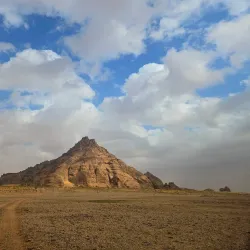 Local Desert Wildlife Observation - Rafḩā