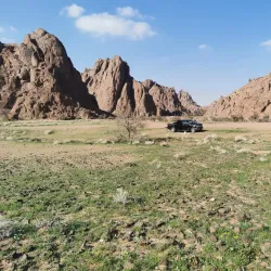 Local Desert Wildlife Observation - Rafḩā