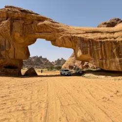 Local Desert Wildlife Observation - Rafḩā
