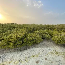 Al Khaleej Park - Ras Tanura