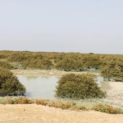 Al Khaleej Park - Ras Tanura