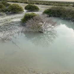 Al Khaleej Park - Ras Tanura