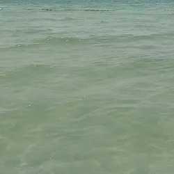 Al Nakheel Beach - Ras Tanura