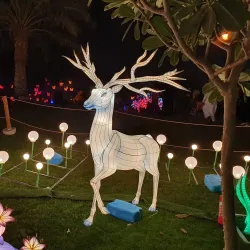 King Abdullah Park - Riyadh