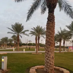 King Abdullah Park - Riyadh