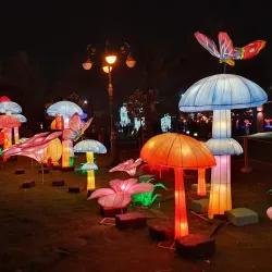 King Abdullah Park - Riyadh