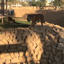 Riyadh Zoo - Riyadh