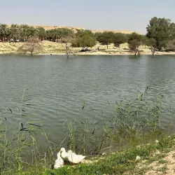 Wadi Hanifah - Riyadh