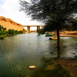 Wadi Hanifah - Riyadh