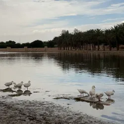 Wadi Hanifah - Riyadh