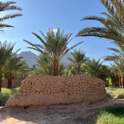 Al Ula Oasis - Sakakah