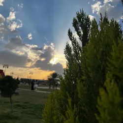 Al-Zareebah Park - Tabuk