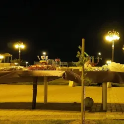 Al-Zareebah Park - Tabuk