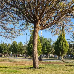 Prince Fahd bin Sultan Park - Tabuk