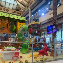 Red Sea Coast near Tabuk - Tabuk