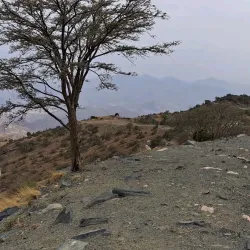 Al Katibah Park - Taif