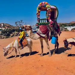 Al Katibah Park - Taif