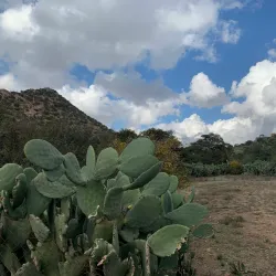 Al Katibah Park - Taif