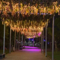 Al Rudaf Park - Taif