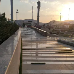 Taif Rose Gardens - Taif