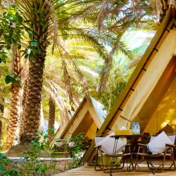 Desert Hiking and Exploration - Udhailiyah