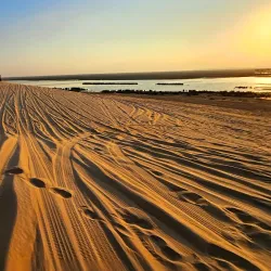 Nearby Al-Hasa Oasis (Day Trip) - Udhailiyah