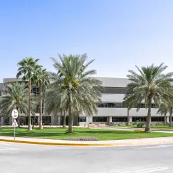 Saudi Aramco Oil Facilities (View Only) - Udhailiyah