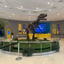 Unaizah Museum - Unaizah