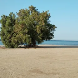 Yanbu Corniche - Yanbu' Al Bahr