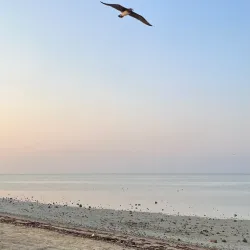 Yanbu Corniche - Yanbu' Al Bahr