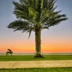 Al Nakhl Beach - Yanbu