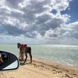 Yanbu Corniche - Yanbu