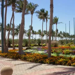 Yanbu Industrial City - Yanbu