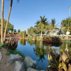 Yanbu Islands - Yanbu