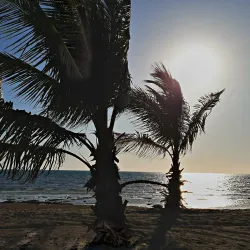 Yanbu Islands - Yanbu