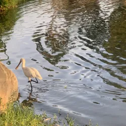 Yanbu Marine Park - Yanbu