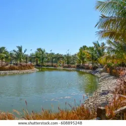 Yanbu Marine Park - Yanbu