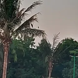 Yanbu Marine Park - Yanbu