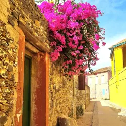 Gorée Island (Île de Gorée) - Dakar