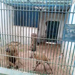 Hann Park and Zoo - Dakar