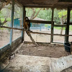 Hann Park and Zoo - Dakar