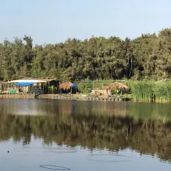 Hann Park and Zoo - Dakar